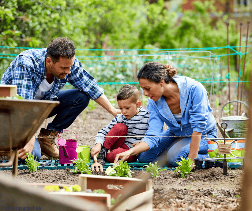 Gartenparadies selbst gestalten